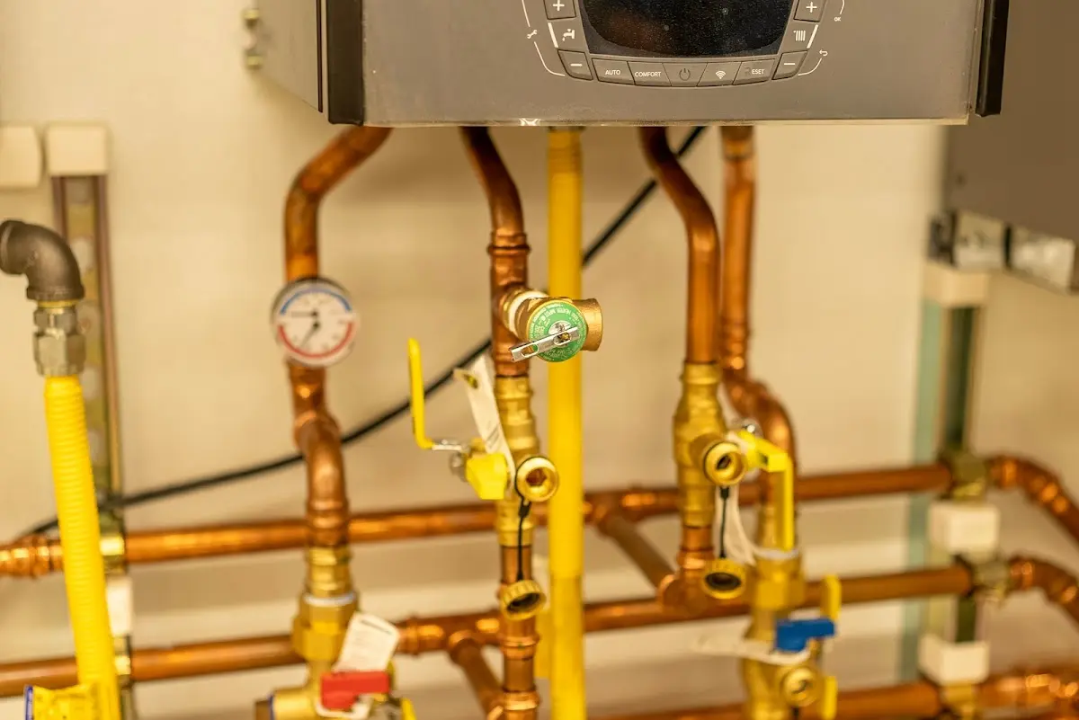 Licensed technician providing Sump Pump Repair for a homeowner in Rapho